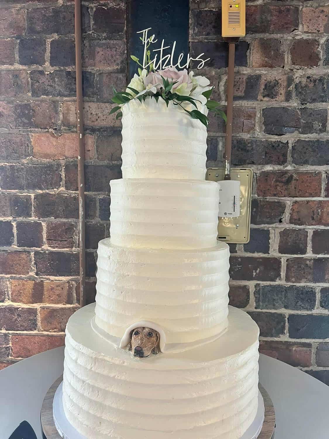 A four-tier white wedding cake with a small dog’s head peeking out from a hole in the bottom tier; flowers and a sign reading "The Litzlers" top the cake.